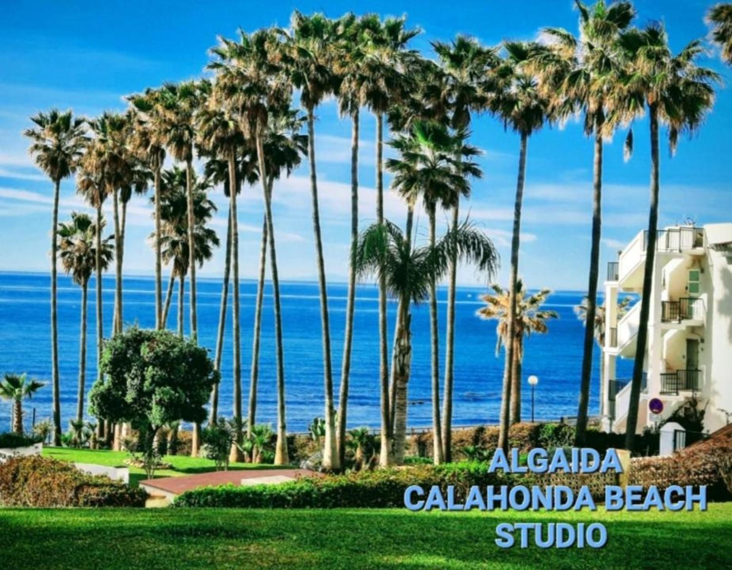 Nuevo! Algaida Calahonda Beach Studio Sitio de Calahonda Exteriér fotografie